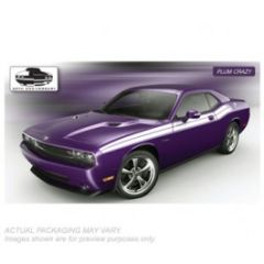 AMT 10 Dodge R/T CL.Plum 1/25