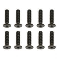 Screws m2.5X10mm FHCS (10) (AS31350)