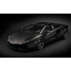 Pocher 1/8 Lamborghini LP700-4 Roadster Nero Nemesis