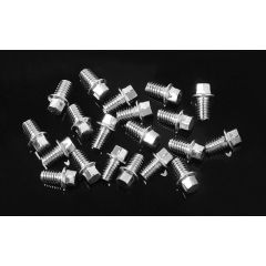 RC4WD Miniature Scale Hex Bolts (M2.5 X 4mm) (Silver) (Z-S1563)