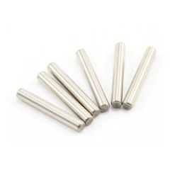 Outlaw Pin 2x13MM (6PCS) (FTX8342)