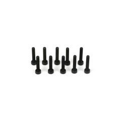 Cap Head Screws, M3 x 16mm (10) (TLR5934)