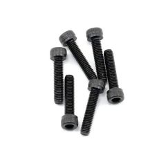 Screws, 2.5x12mm cap-head machine (6)