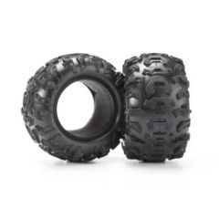 Tires, canyon at 2.2" (2)/ foam inserts (2)