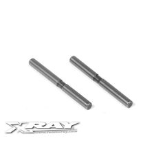 Rear Arm Pivot Pin (2) (X367320)