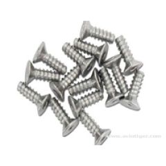 Titanium tp flat head screw m2.6 x 8mm (15pc)