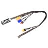 Laadkabel Pro XT60 - EC5/Dean/XT90 - XH Balanceerbord 2-6S